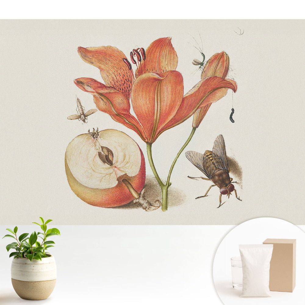 Tapeta s květinami, hmyzem a ovocem v motivu harmonie přírody