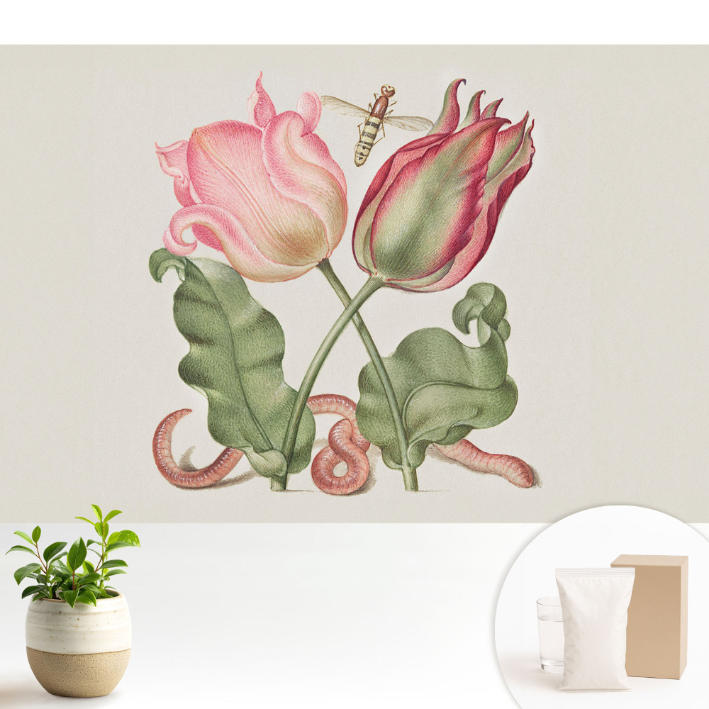 Samolepící tapeta s květinami a hmyzem v nostalgické kompozici