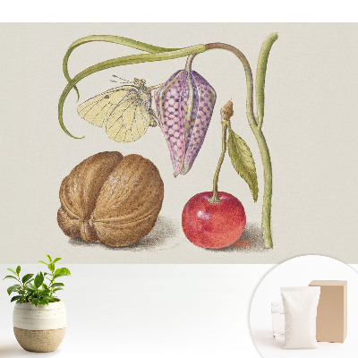 Tapeta na zeď Motýl na květních listech a plodech