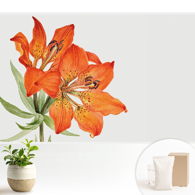 Samolepící tapeta s motivem oranžové lilie v decentně klasickém stylu
