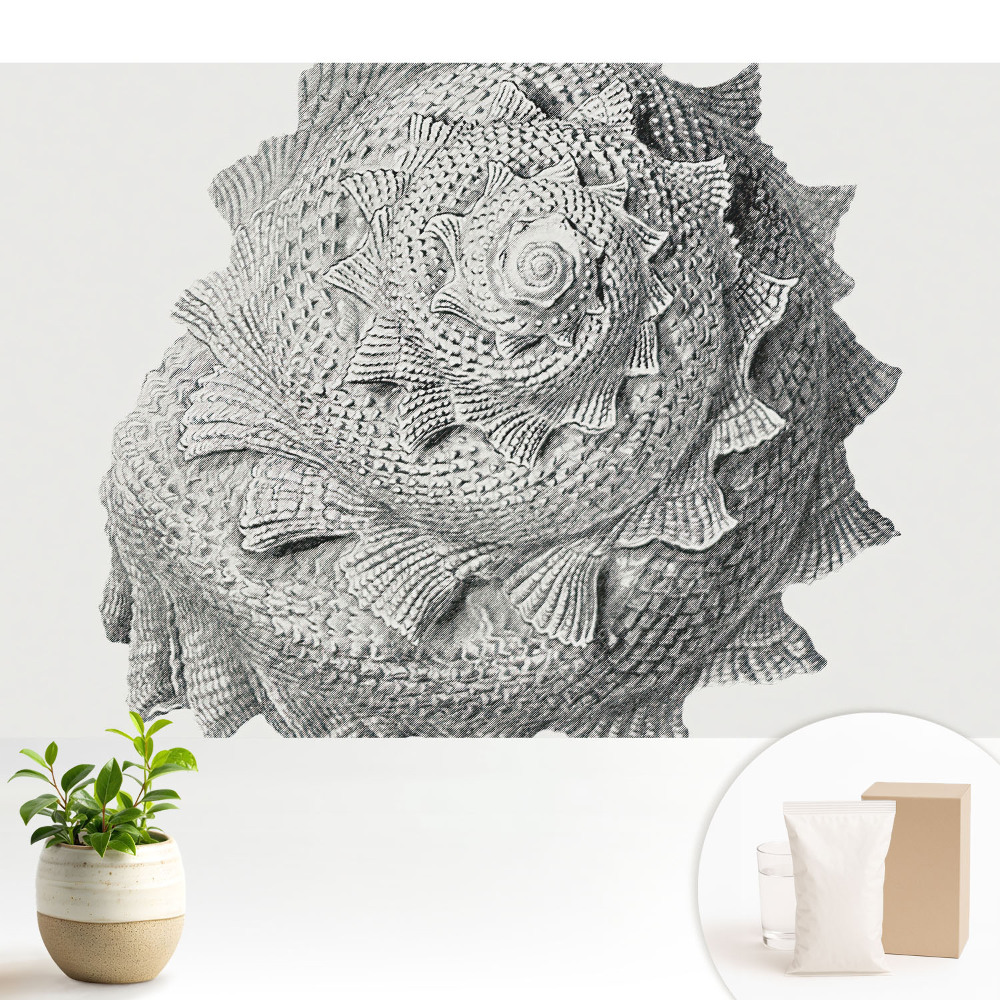 Samolepící tapeta s motivem spirální skořápky pro vizuální harmonii