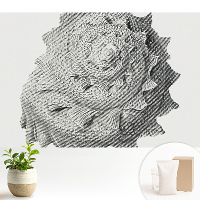 Samolepící tapeta Vizuální harmonie spirální skořápky