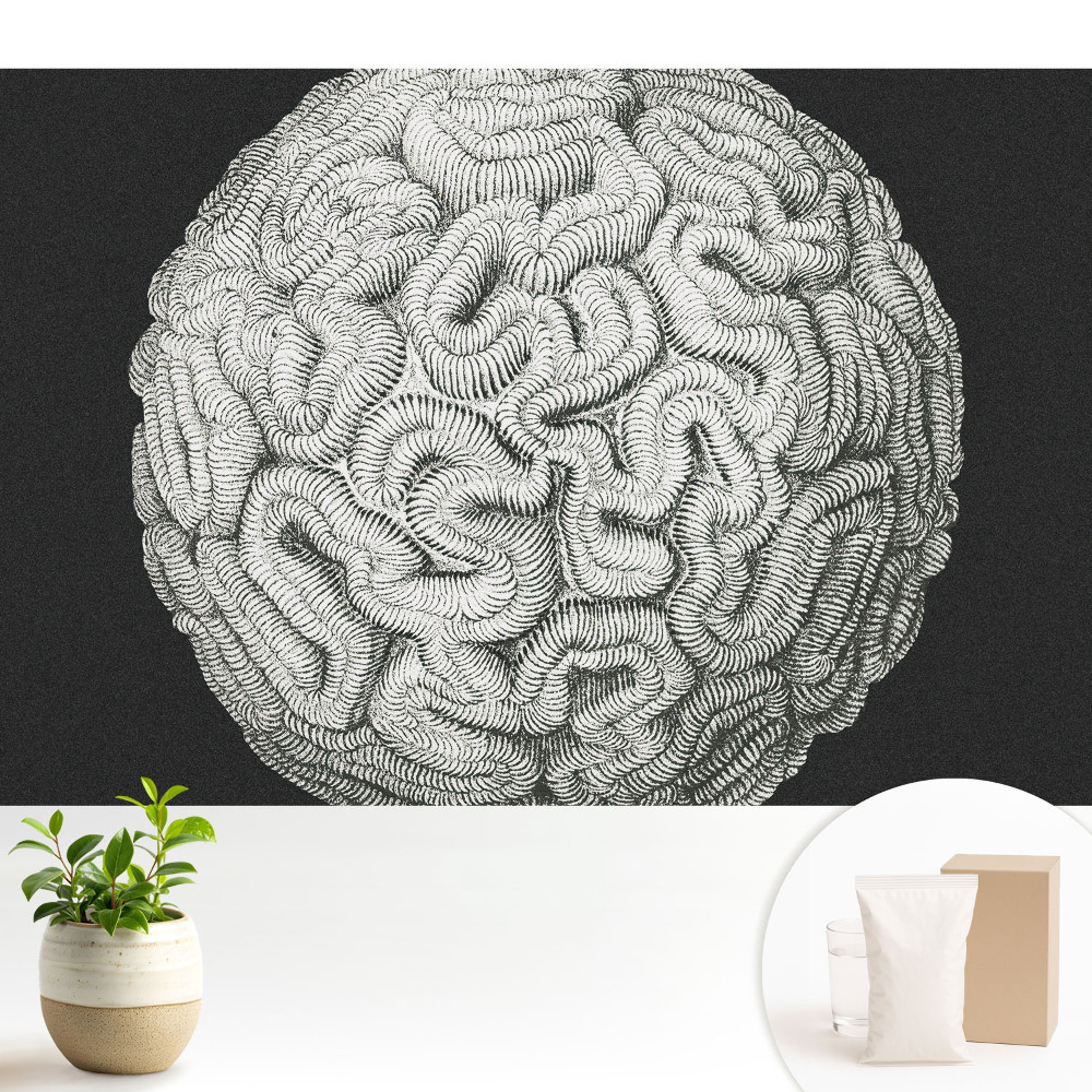 Tapeta s monochromatickou sférickou harmonickou strukturou