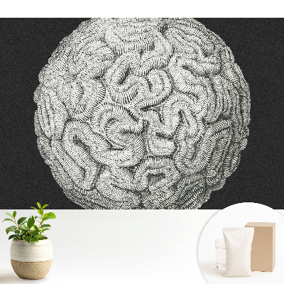 Tapeta s monochromatickou sférickou harmonickou strukturou