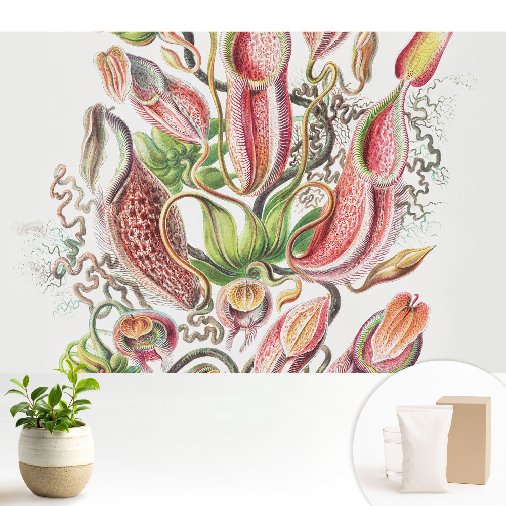 Tapeta do obývacího pokoje s motivem exotických hmyzožravých rostlin