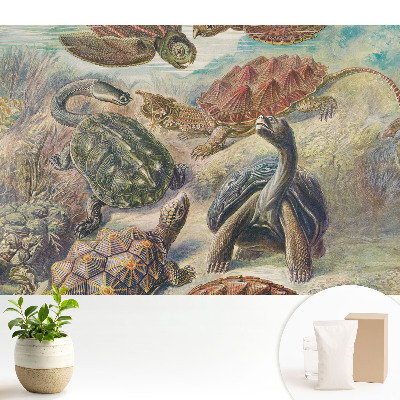 Tapeta do obývacího pokoje s motivem různých želv ve vodní scenérii
