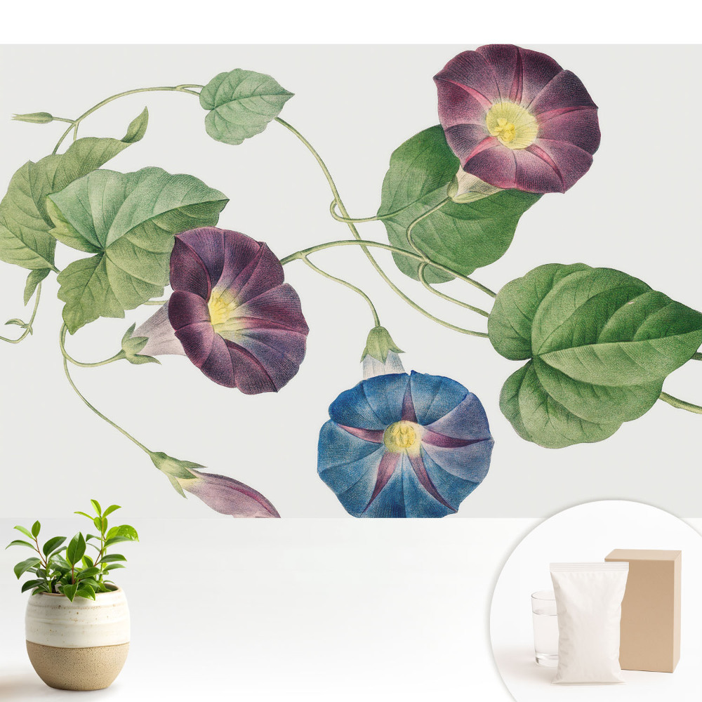 Samolepící tapeta s jemným květinovým botanickým motivem