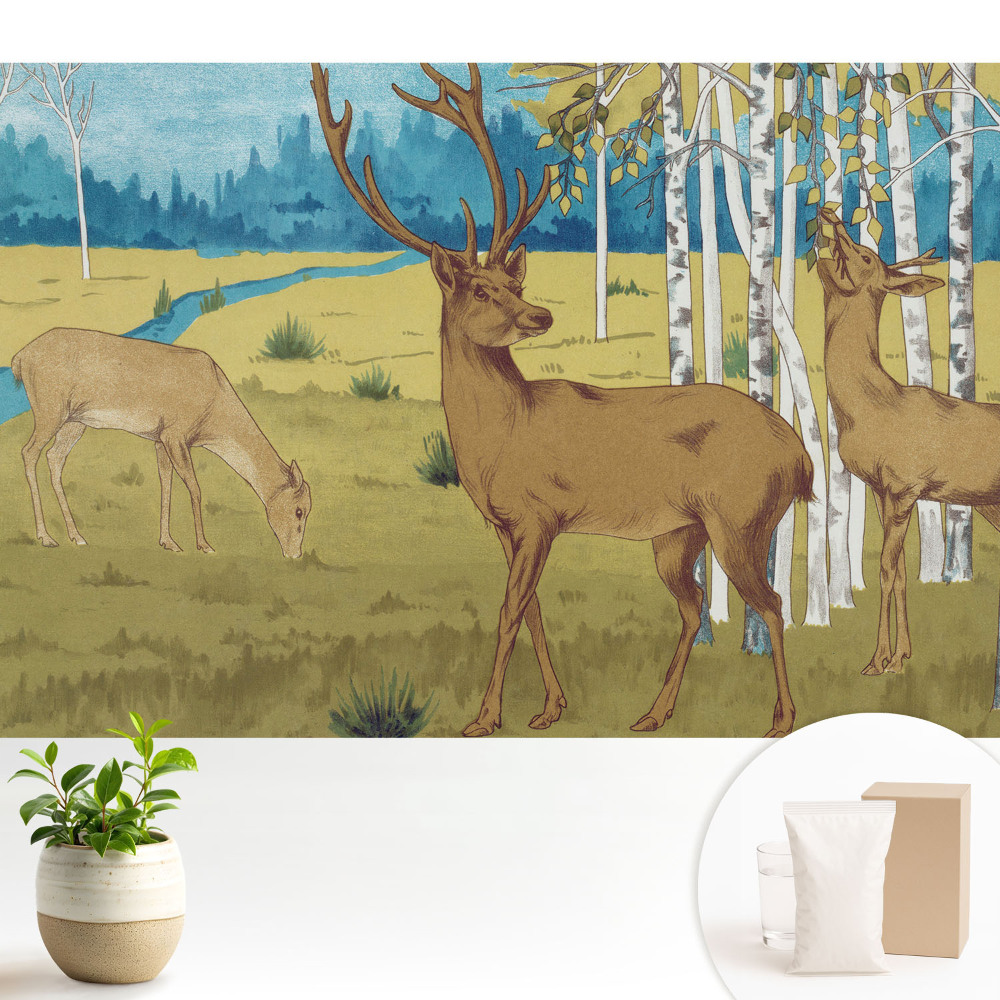 Samolepící tapeta s motivem jelena v březovém lese
