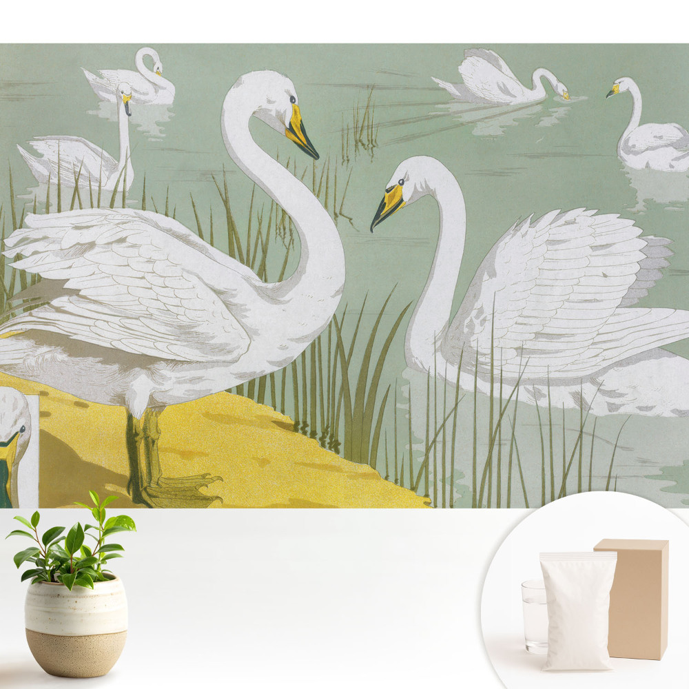 Tapeta na zeď s motivem labutí na jezeře v romantickém stylu