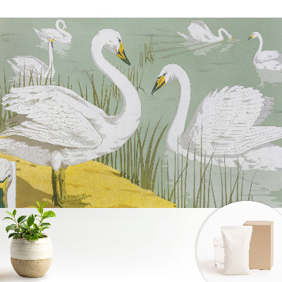 Tapeta na zeď s motivem labutí na jezeře v romantickém stylu