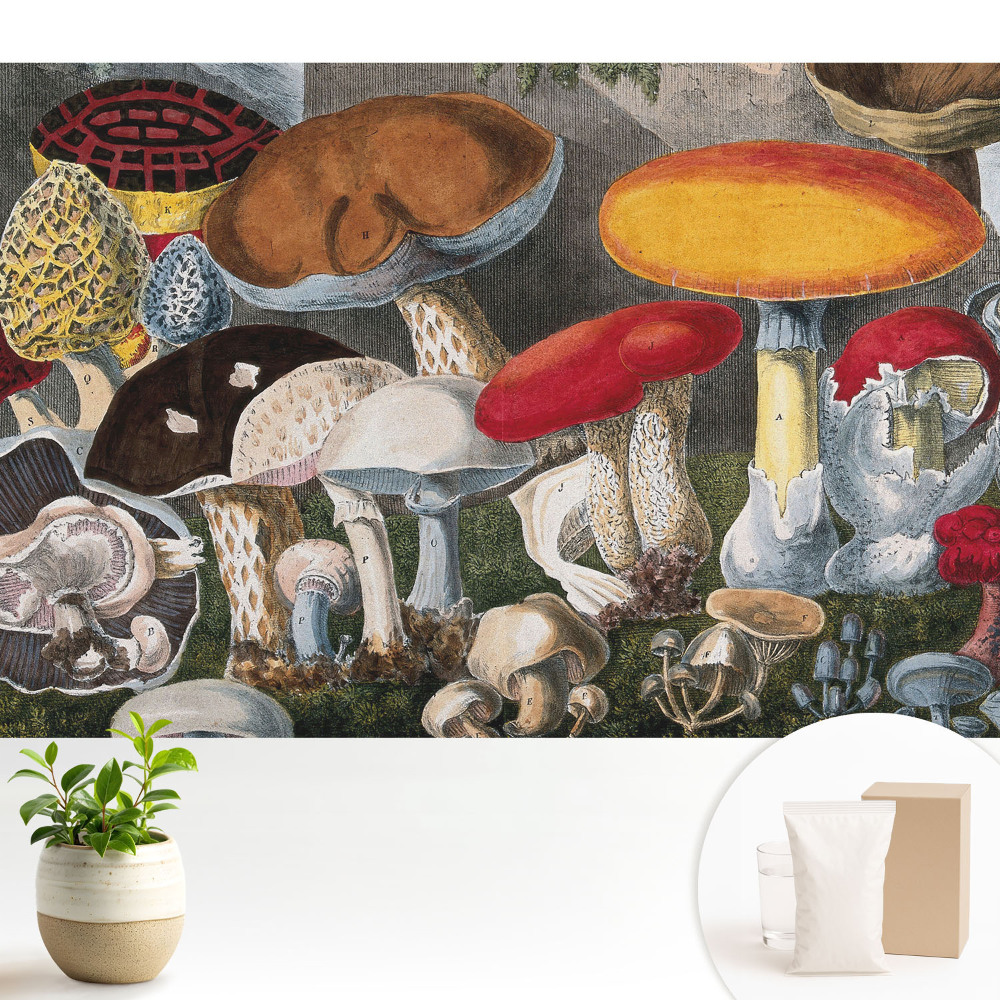 Tapeta na zeď v botanickém stylu s motivem hub
