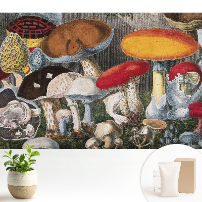 Tapeta na zeď Botanický styl odrůdy hub