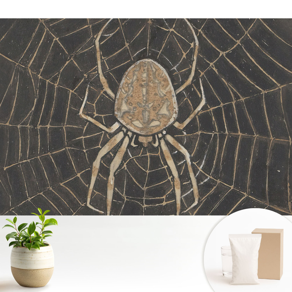 Samolepící tapeta s motivem pavouka v symetrické pavučině