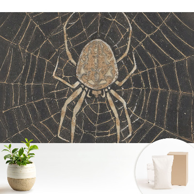 Samolepící tapeta Pavouk v symetrické pavučině