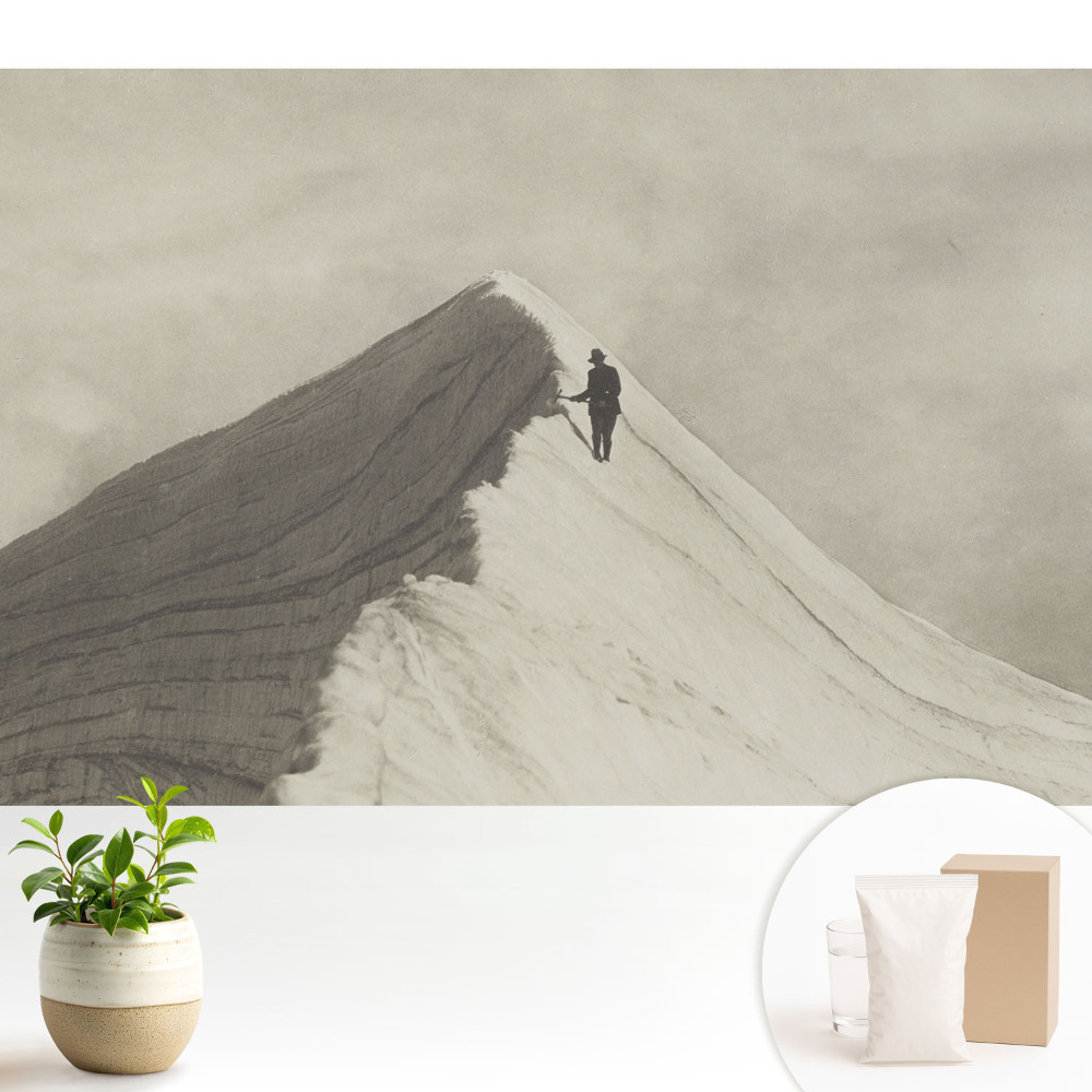 Tapeta do obývacího pokoje s motivem horského vrcholu a osamělého horolezce