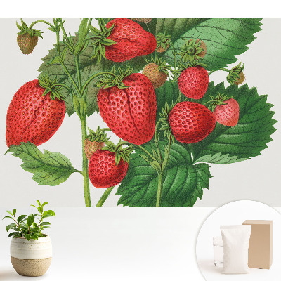 Tapeta na zeď s motivem jahod na zeleném pozadí