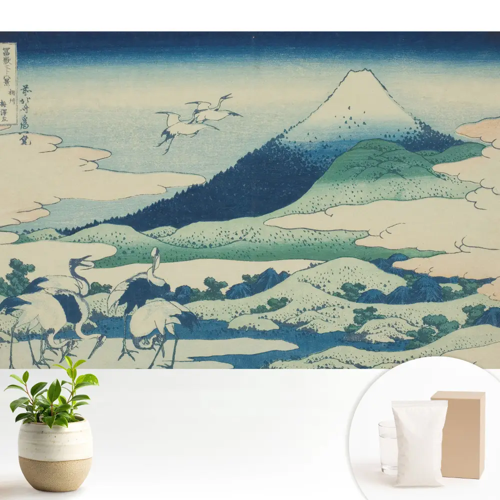 Tapeta do obyvaku Klasická japonská horská krajina.