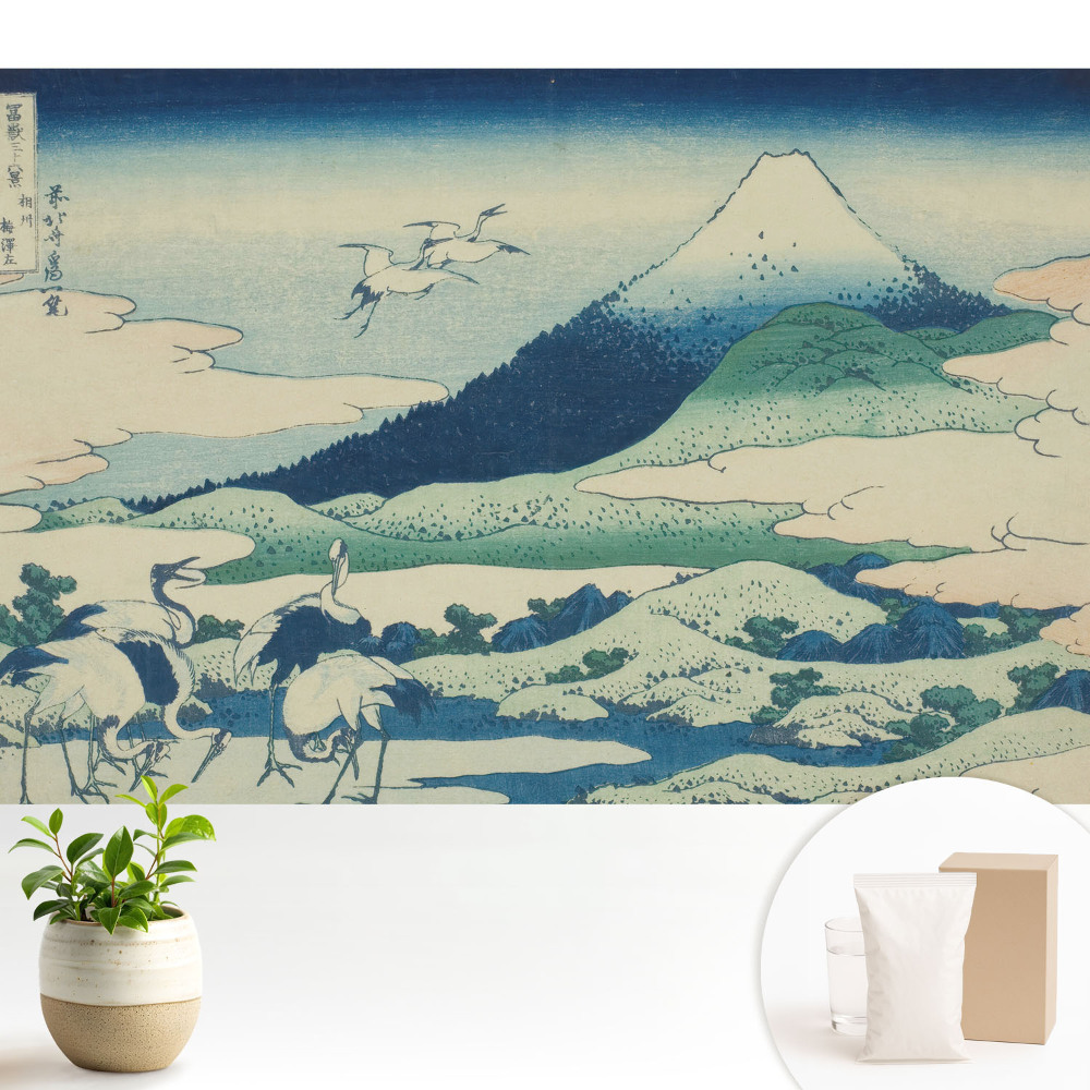 Tapeta do obyváku s klasickou japonskou horskou krajinou