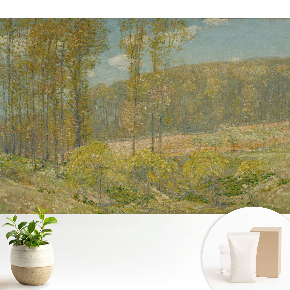 Tapeta na zeď s motivem přírodní krajiny v harmonickém stylu