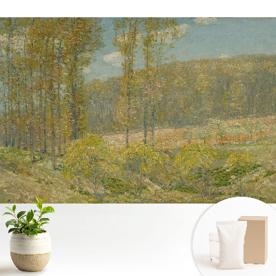 Tapeta na zeď Přírodní krajina v harmonickém stylu