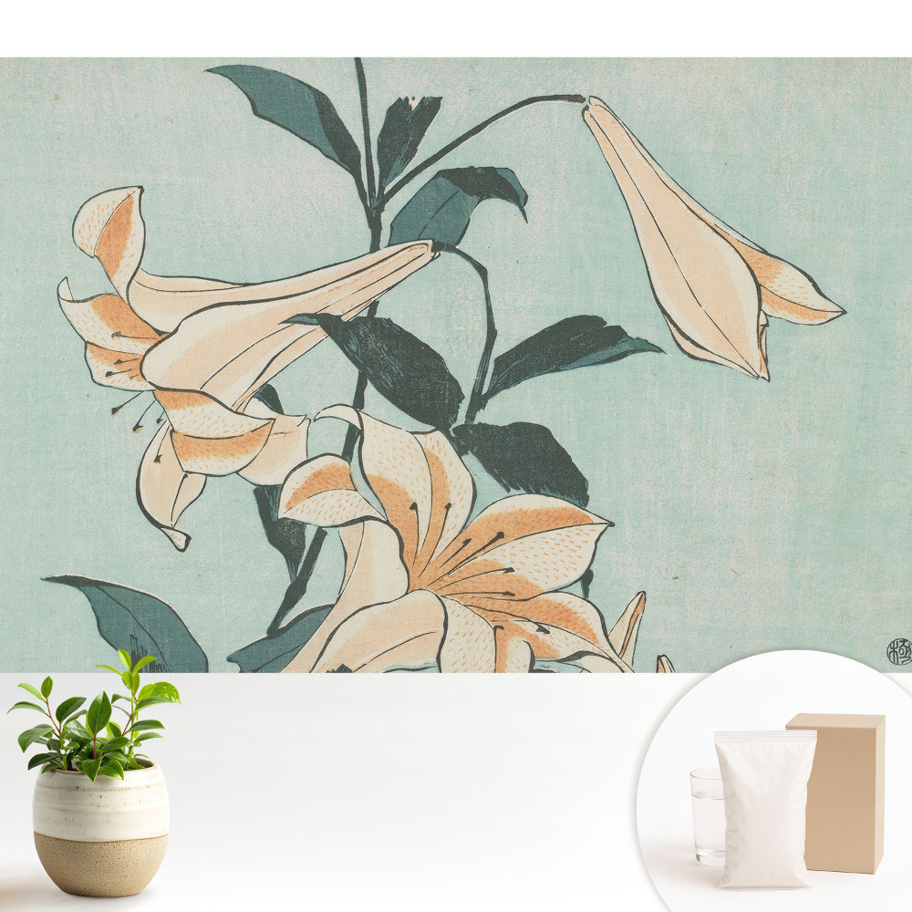 Tapeta Klasická jemnost přírody