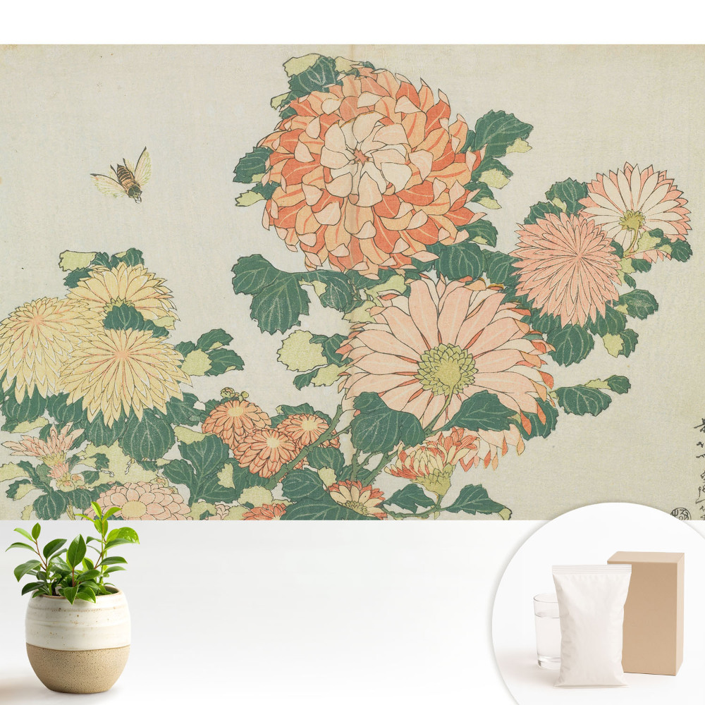 Tapeta na zeď s motivem chryzantém a včel vyjadřující harmonii