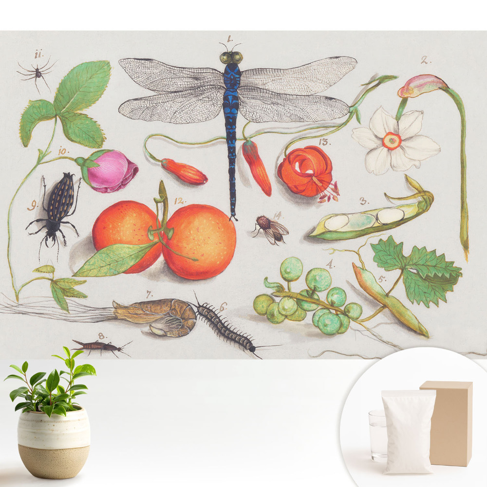 Tapeta na zeď s botanickou koláží a motivem hmyzu