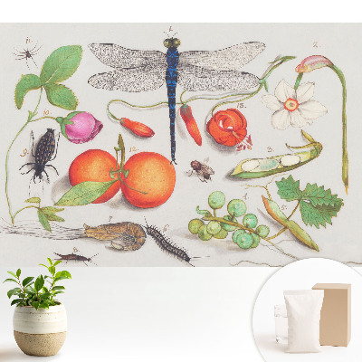 Tapeta na zeď Botanická koláž s hmyzem