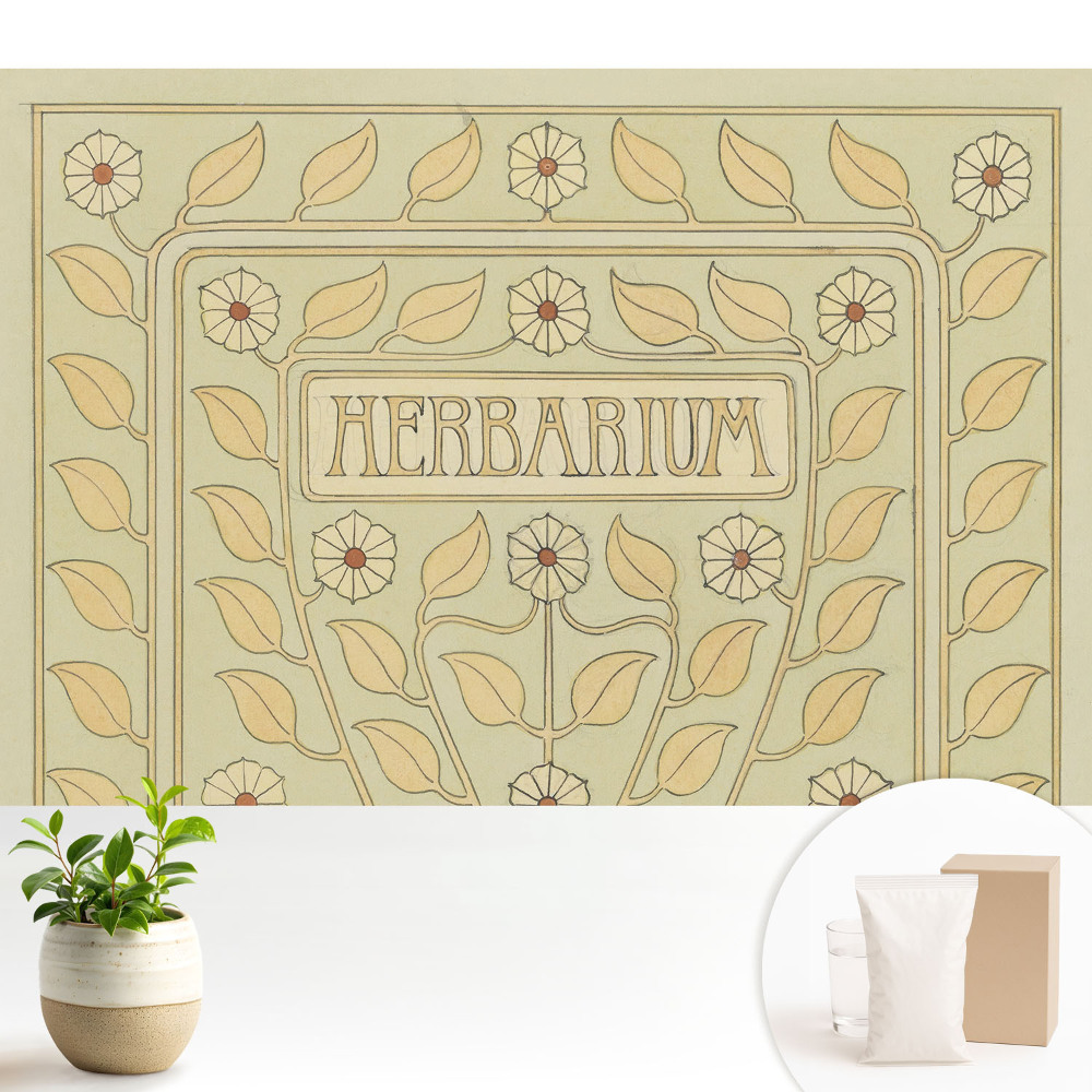 Tapeta do obývacího pokoje se secesním rostlinným motivem a nápisem „Herbarium”