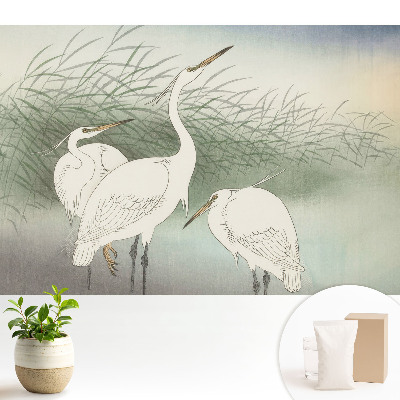 Tapeta Křehcí ptáci mezi trávou