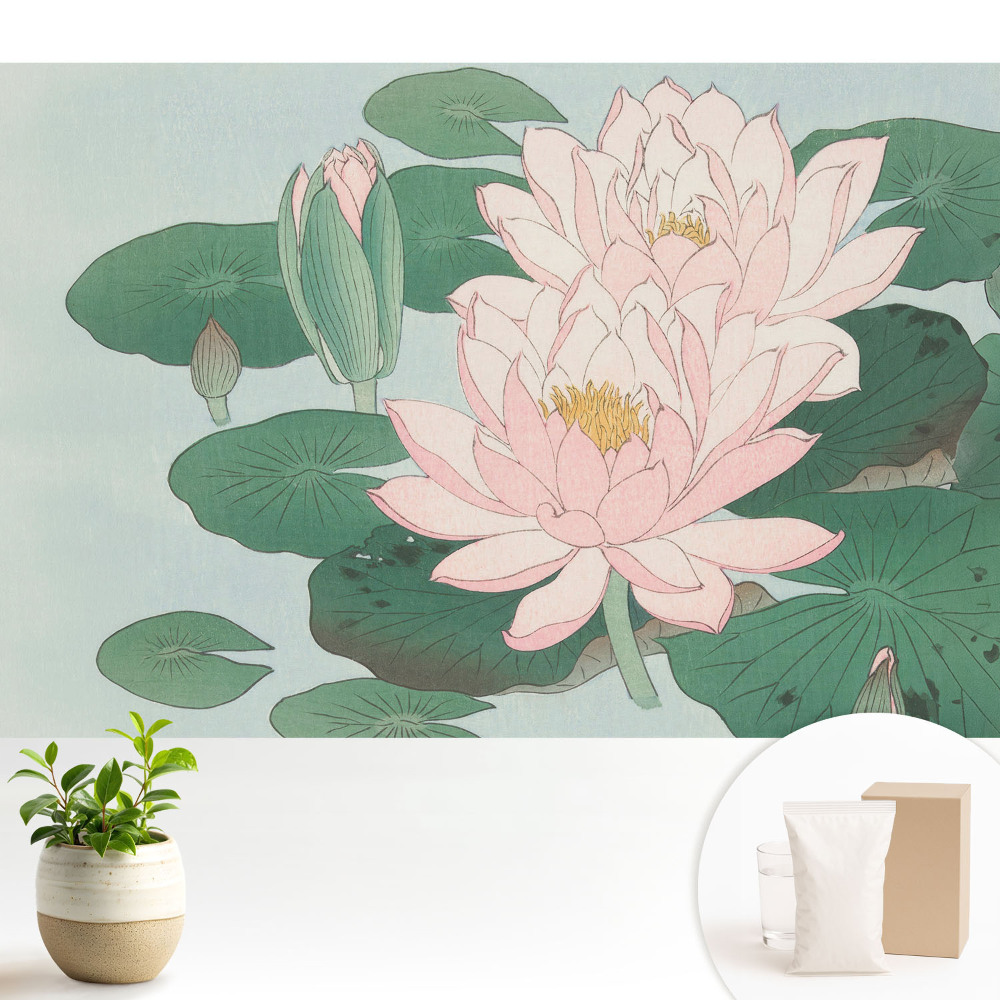 Samolepící tapeta s motivem lotosových květů na zelených listech
