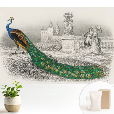 Tapeta Páv v zahradě s barokními postavami