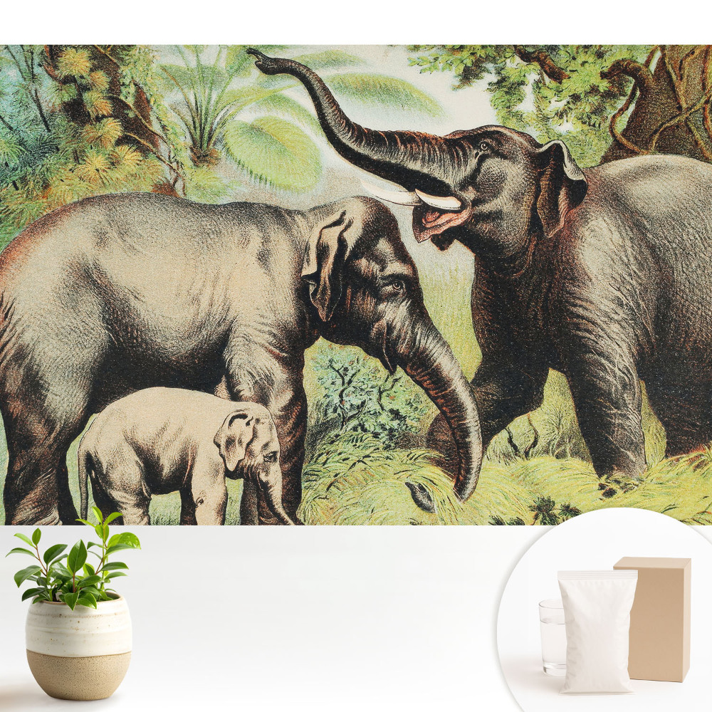 Tapeta do obývacího pokoje s motivem rodiny slonů na pozadí džungle