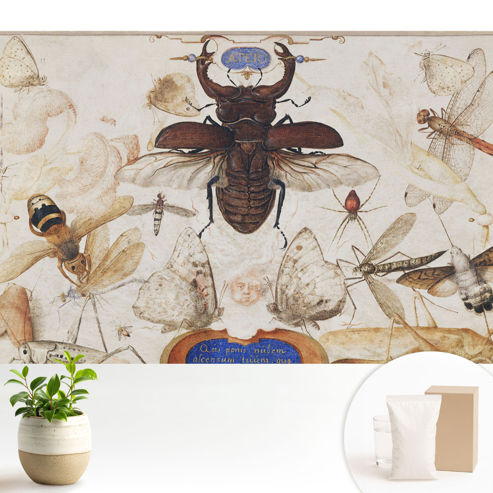Tapeta do obývacího pokoje s motivem hmyzu, včetně motýlů a pavouků, v klasickém symetrickém vzoru