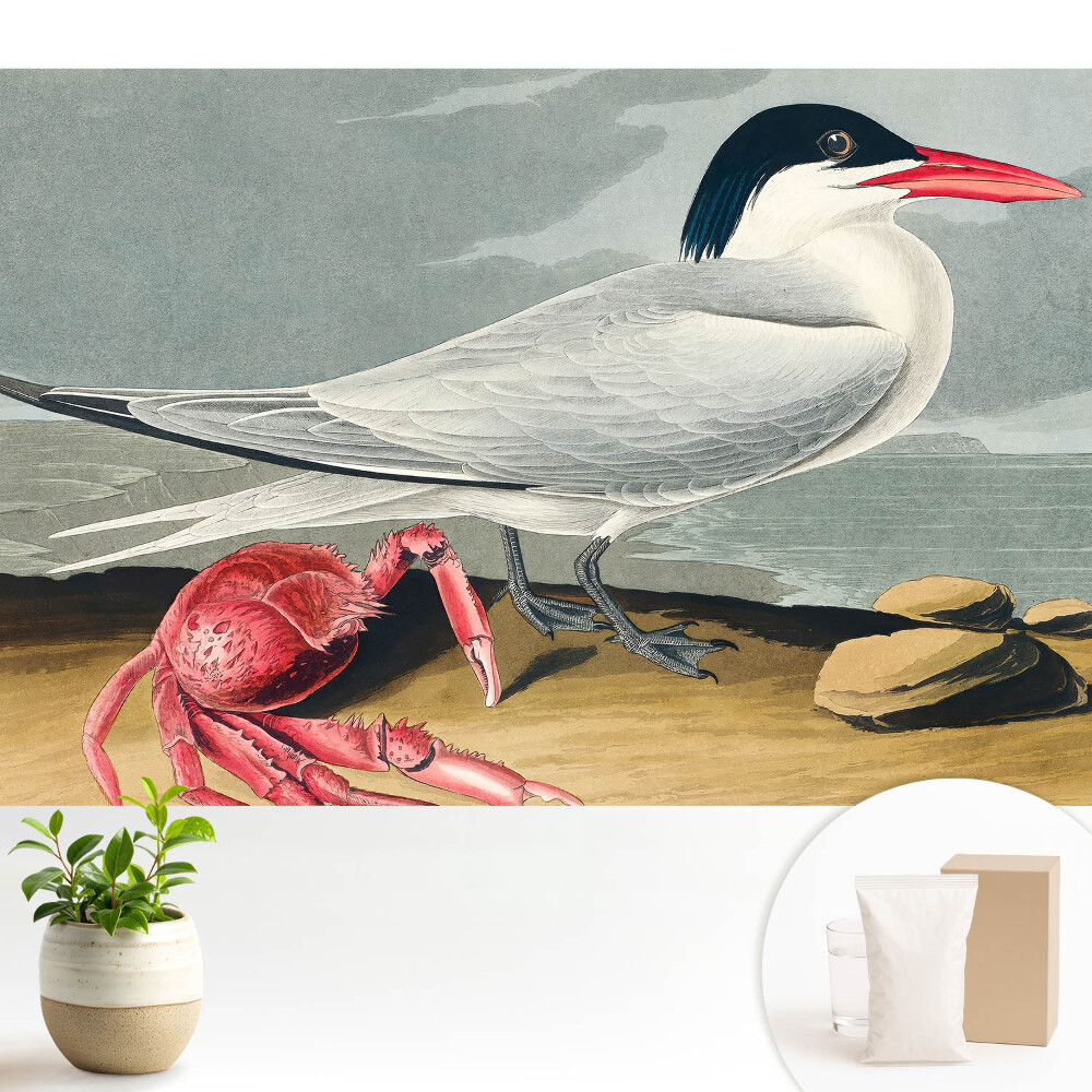 Samolepící tapeta s motivem ptáka a kraba v klasickém přírodním provedení