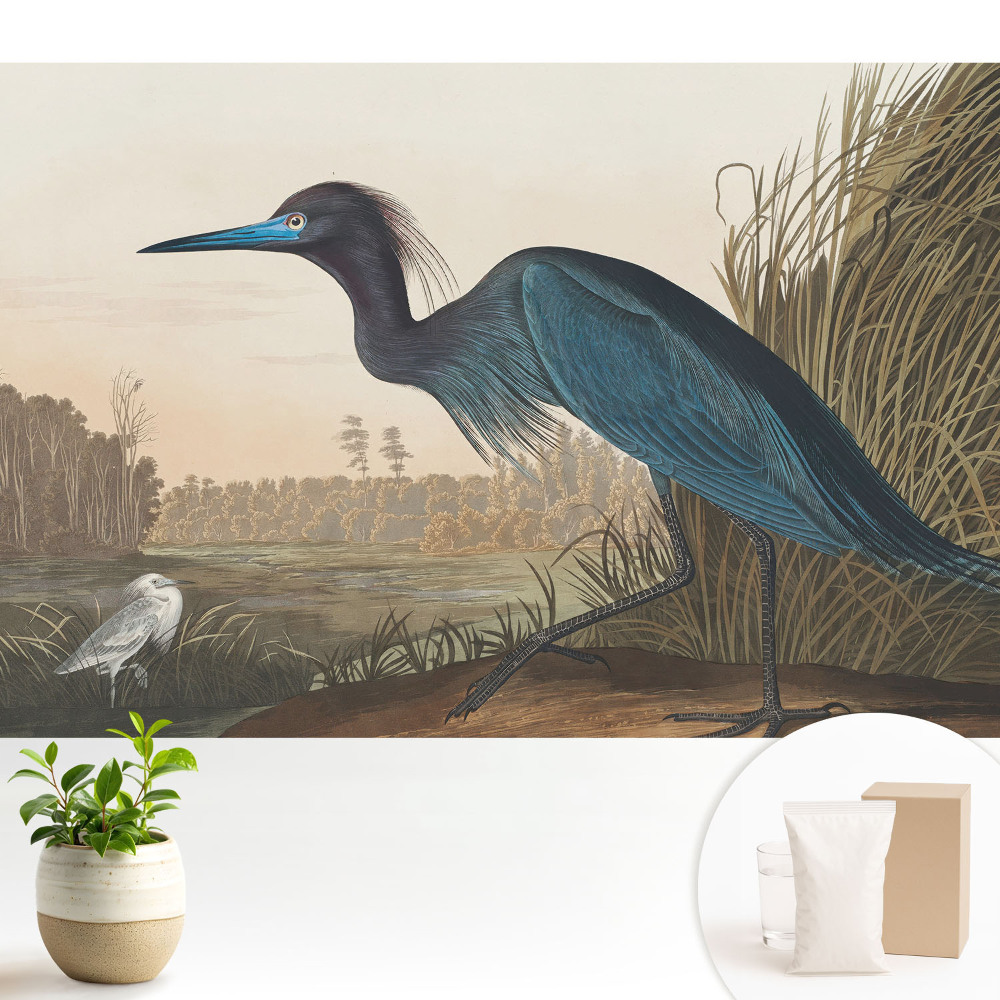 Samolepící tapeta s motivem klasické ptačí krajiny