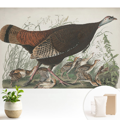 Tapeta na zeď Přírodní ilustrace divokého krocana