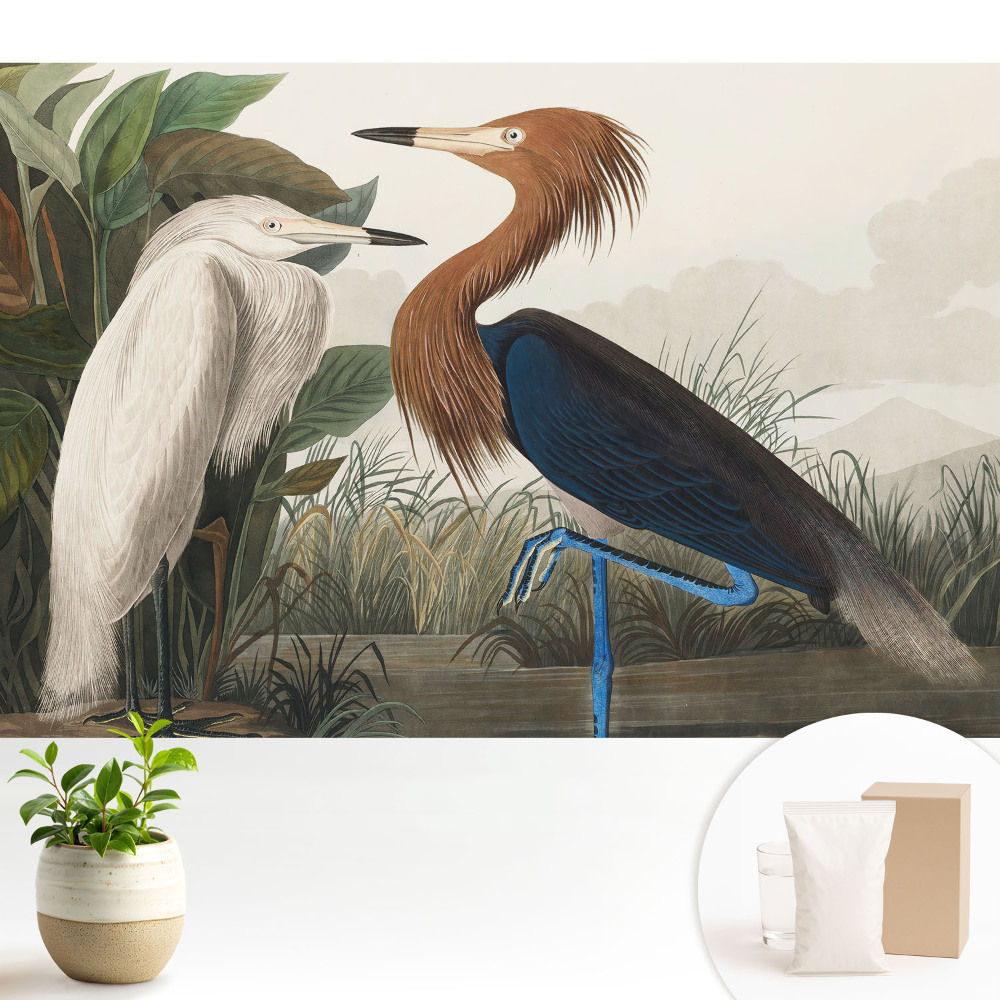 Tapeta Elegantní ptáci v vegetaci