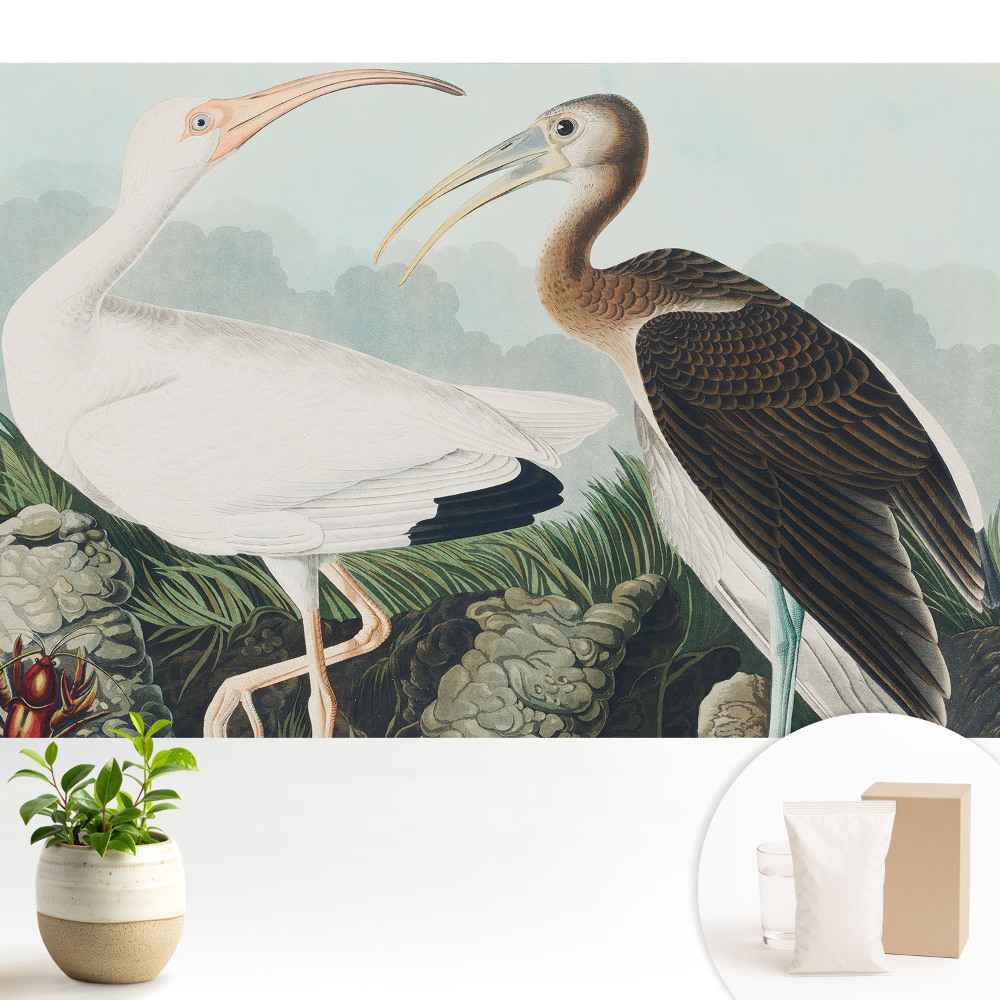 Tapeta do obývacího pokoje s motivem dvou ptáků v jejich přirozeném prostředí