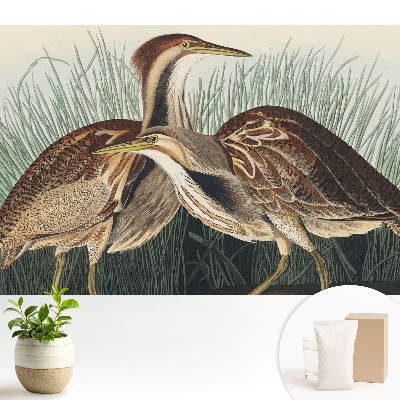 Tapeta na zeď s motivem ptáků v trávě v klasickém realistickém stylu se symetrickým vzorem