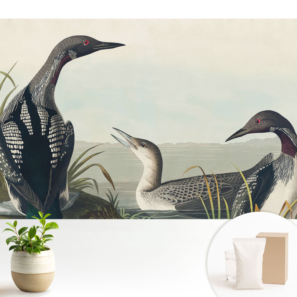 Tapeta Tři ptáci v klasickém stylu