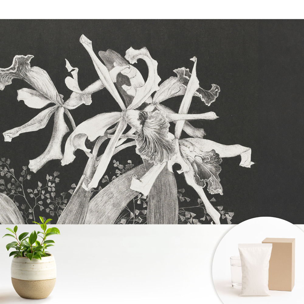 Tapeta na zeď Elegantní květiny na tmavém pozadí