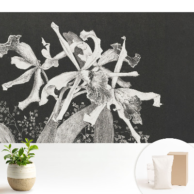 Tapeta na zeď Elegantní květiny na tmavém pozadí