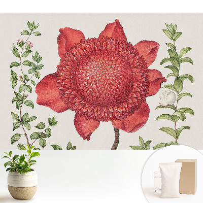 Samolepící tapeta Klasické květinové aranžmá z přírody