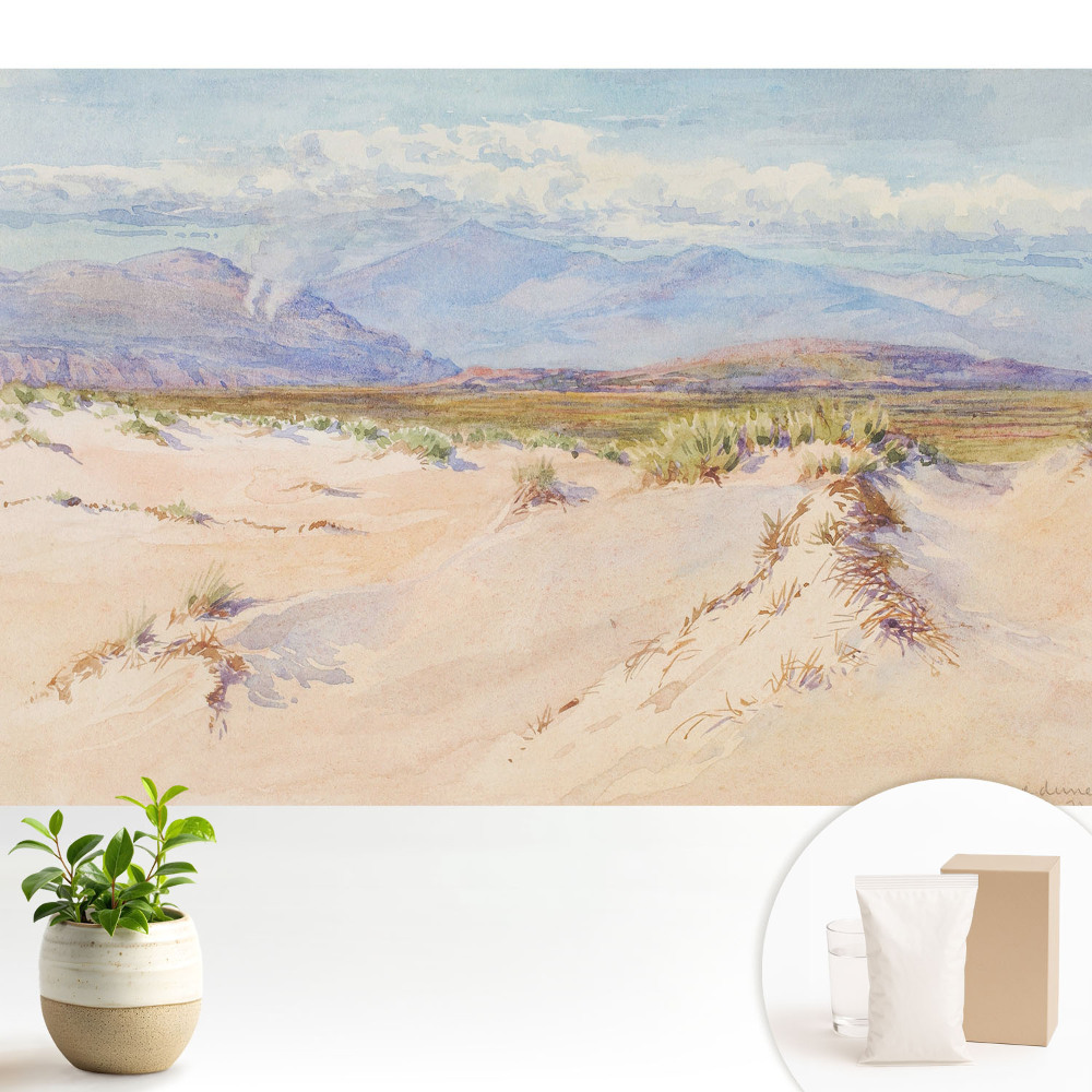 Tapeta do obývacího pokoje s motivem pouštní krajiny a vzdálených hor