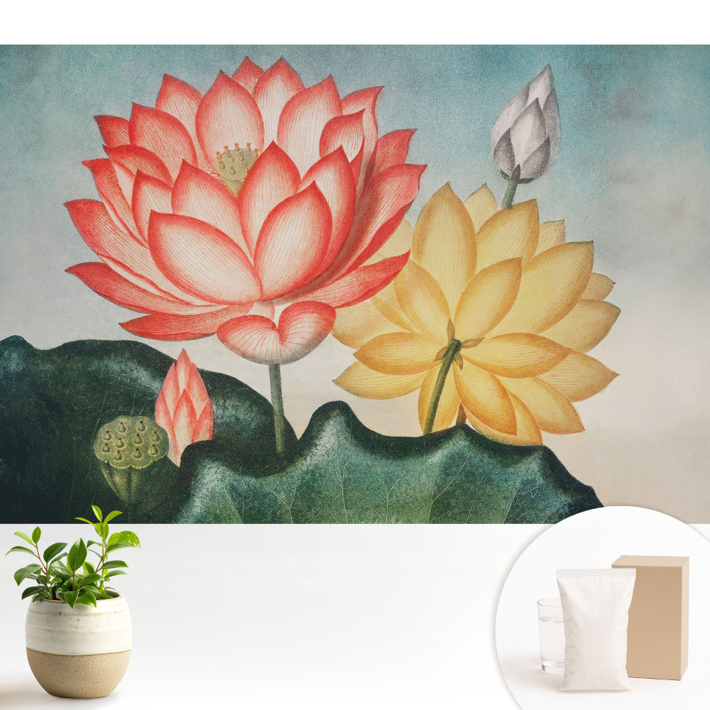 Tapeta na zeď s motivem lotosových květů v romantickém stylu