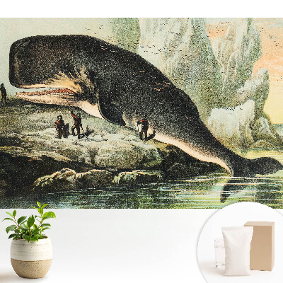 Tapeta do obyvaku Vorvaň na břehu v klasickém prostředí