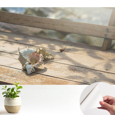 Tapeta Mušle na dřevěné lavici