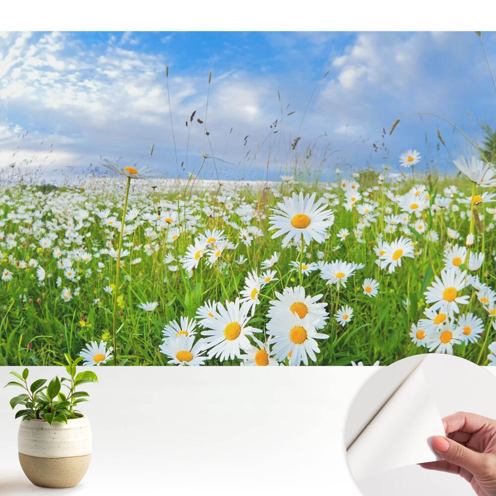 Tapeta na zeď Květinová louka v létě