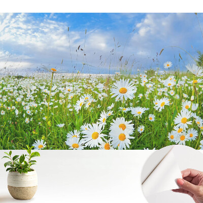 Tapeta na zeď Květinová louka v létě